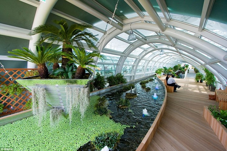 Зимний сад в аэропорту Инчхон