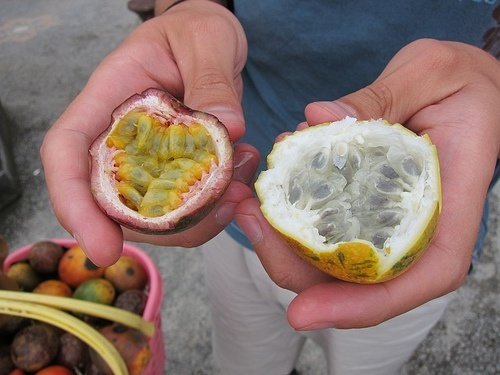 Passion fruit in Goa