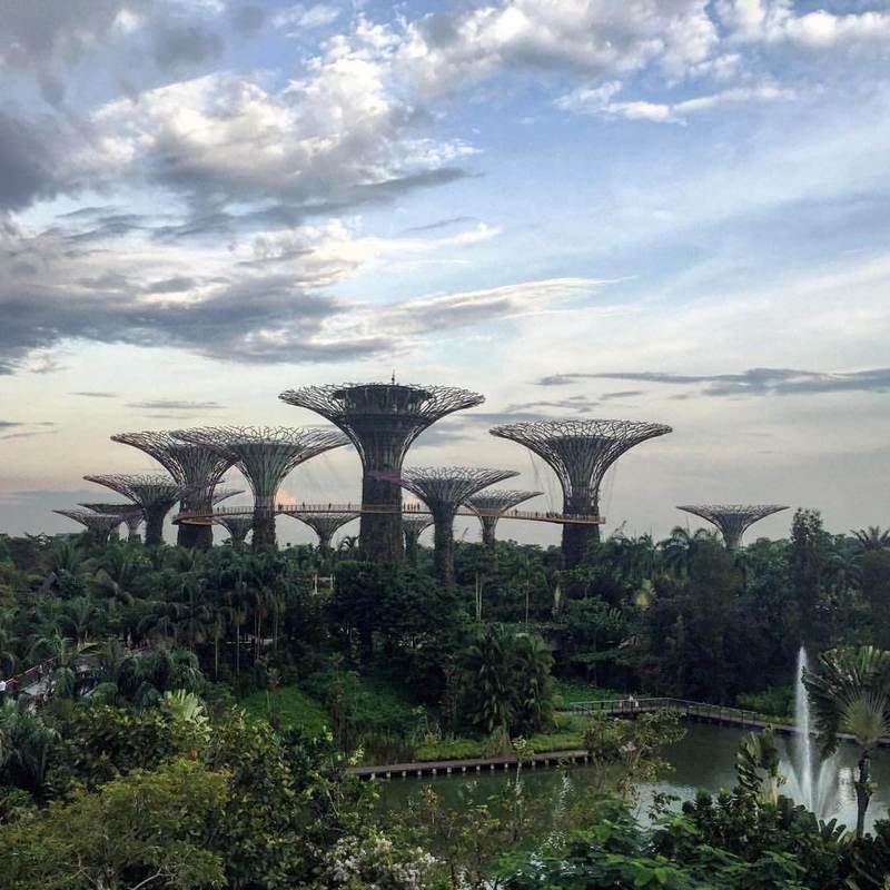 Сингапурский парк Gardens by the Bay украшают 18 «солнечных» деревьев-гигантов