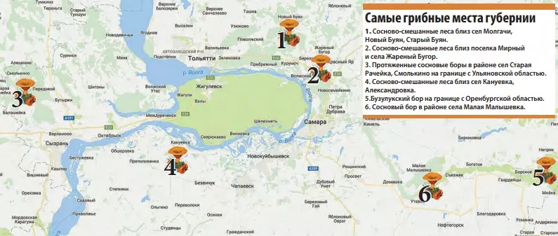 грибные места и карта Самарской области фото