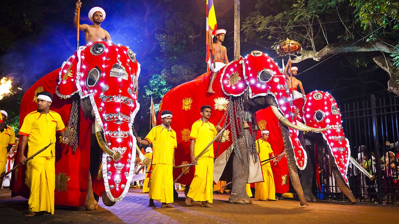 Слоны на фестивале Перахера