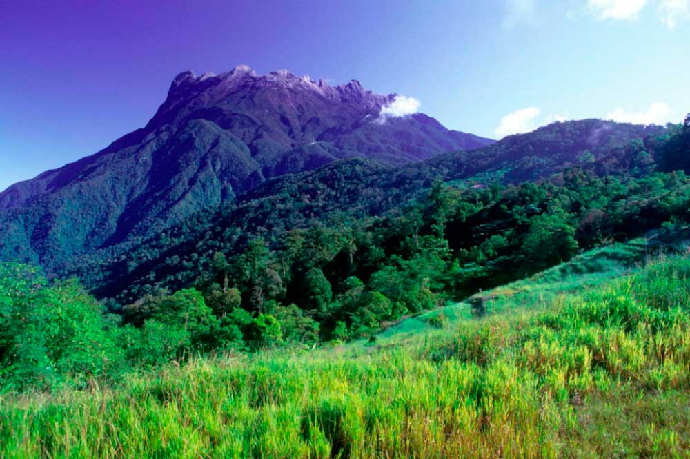 Kinabalu National Park в Малайзии