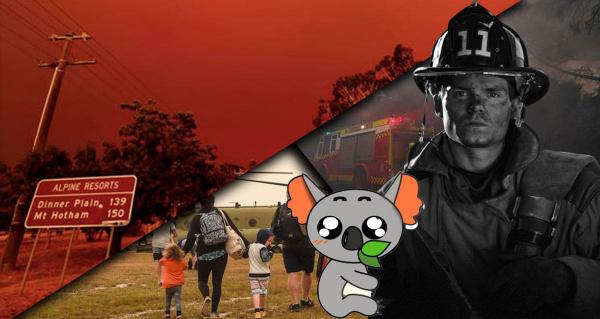 Как помочь Австралии справиться с пожарами. Есть простые способы внести свой вклад в спасение природы (и коал)