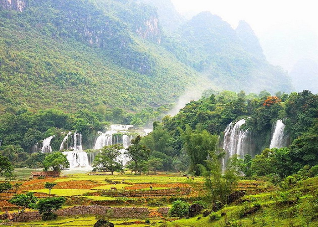 Собираемся в поездку во Вьетнам: советы бывалых туристов