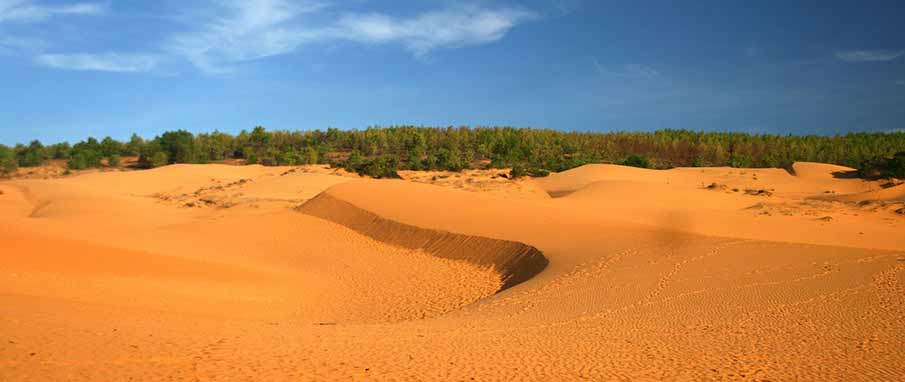 phan-thiet-sand-dune-vietnam