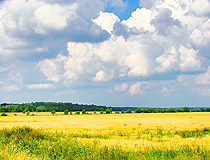 Leningrad region nature