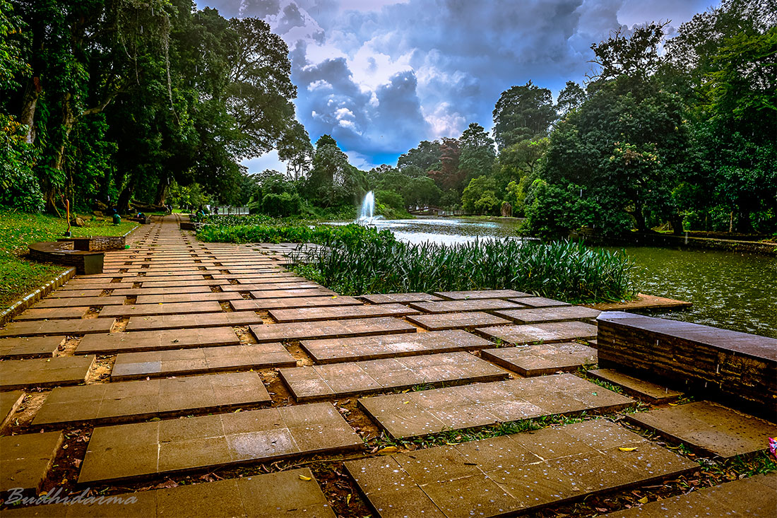 Богорский ботанический сад (Ботанический сад Кебун Рая)