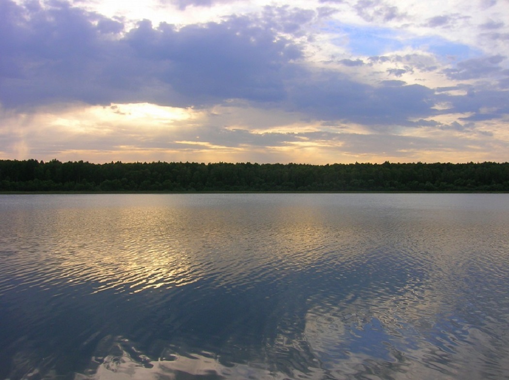Озеро здесь шире. Данилино озеро Новосибирская область. Озеро Данилово Кыштовский район. Данилово озеро Омская. Озеро Данилово Новосибирская область Кыштовский.