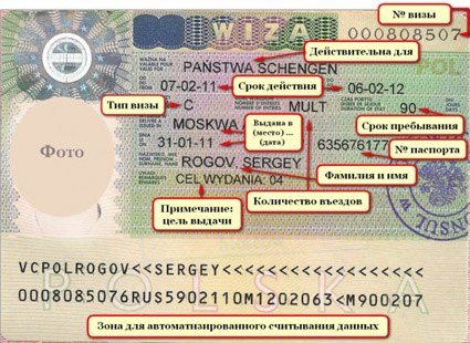 Как читать Шенгенскую визу