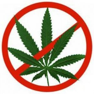 Знак запрещающий наркотики
