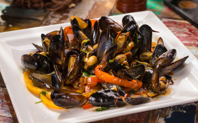 MUSSELS FESTIVAL