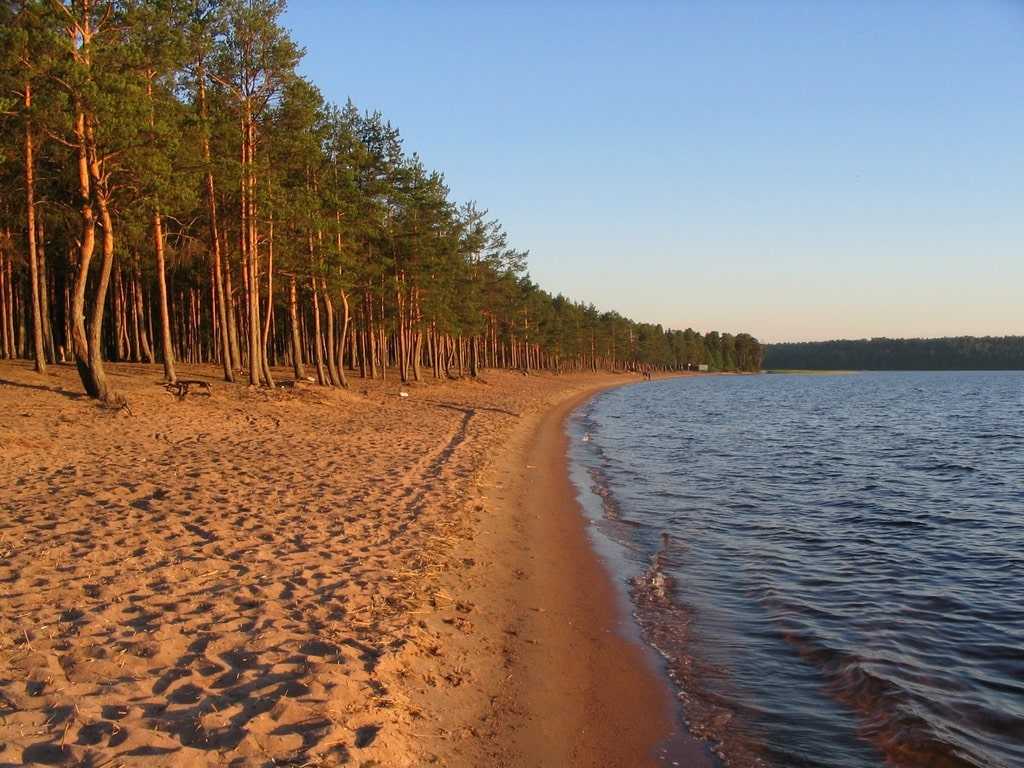 Пляжи Финского залива в Санкт-Петербурге и Ленинградской области