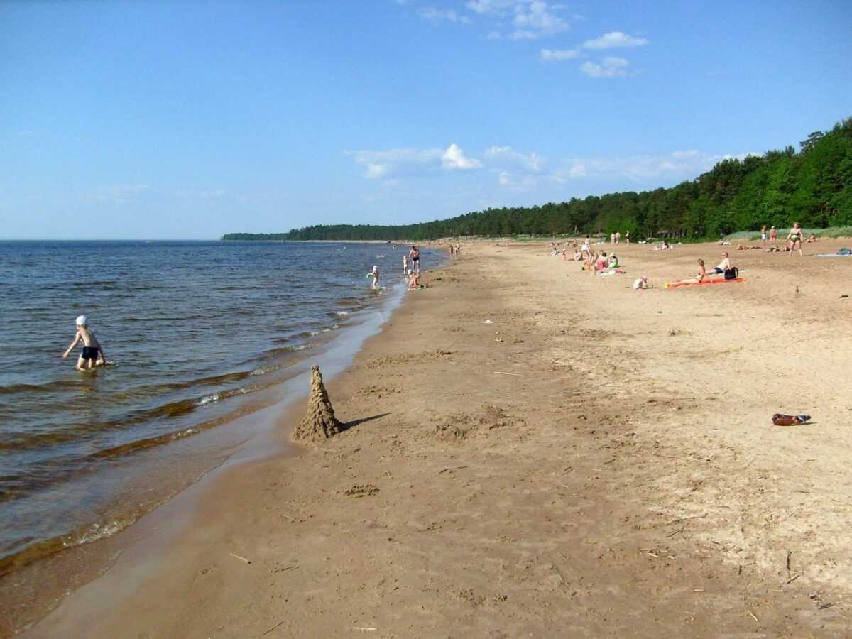 Пляжи Финского залива в Санкт-Петербурге и Ленинградской области