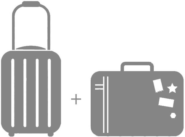 Правила и нормы провоза багажа и ручной клади авиакомпании Royal flight в 2019 году