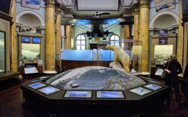 Российский Государственный Музей Арктики и Антарктики