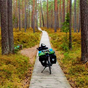 Baltics cycling holidays
