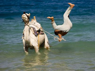 No matter what, have the best time of your life in Egypt: A Bedouin boy uses his camel as a diving platform in the Red Sea (Gulf of Aquaba)