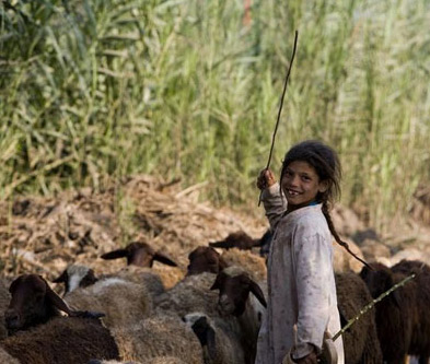 Lets get a move on, its time to explore Egypt: A young sheep herder in the Nile Delta