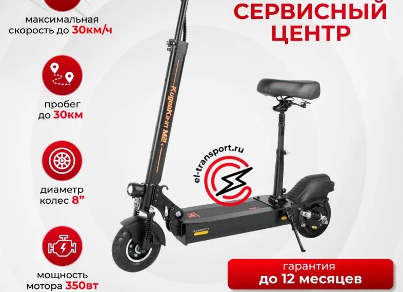 Спортивный магазин «Атлетика» в Ставрополе: 33 года опыта, которые работают на ваши результаты