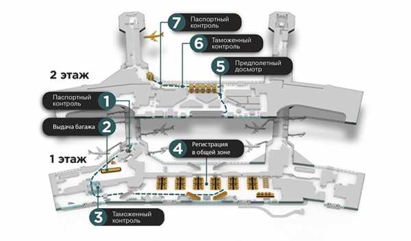 Схема домодедово аэропорт внутри